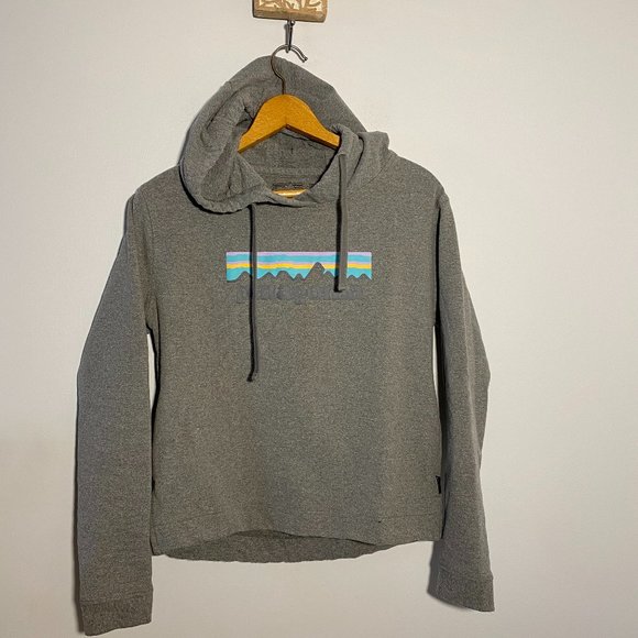 Patagonia Tops - Patagonia Women's Hooded Sweatshirt S Regular